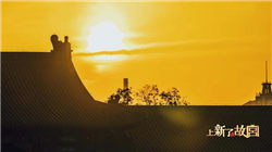 特朗普政府正考虑入股英特尔，英特尔股价上涨7%