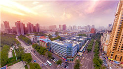 好想你石训：在渠道与需求分散时代，企业须回归供应链与品牌塑造的核心能力