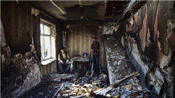 2月22日山东邹城花生价格行情