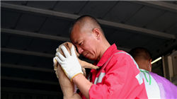 均普智能拟募资超10亿元投向机器人业务，公司股价曾一年最高涨超3倍