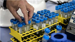 沐曦股份网上发行最终中签率为0.03348913%