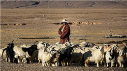 伊朗称未收到美国就核协议提出的书面提议