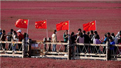 原油：布伦特基本持平 市场权衡贸易局势缓解与OPEC+增产前景