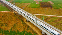 湘佳股份董事长喻自文：中华土鸡出海要打好“三张牌”