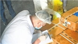 特朗普称利率下调几乎不存在疑问