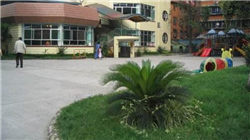 美官员称墨西哥贩毒集团无人机进入美国领空