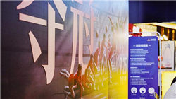 6月4日美股成交额前20：苹果A20芯片或采用台积电2nm工艺