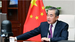 奈飞推出直播投票功能