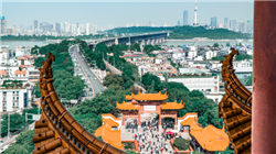 瑞穗：高市决定性胜选后日元看跌