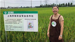 收盘：纳指与标普再创新高 6月非农数据超预期