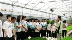 谷歌在云计算部门裁减了100多个与设计相关的职位