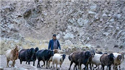 特朗普称赞政府效率部成就 马斯克离任后将成总统顾问