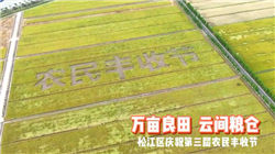 特朗普：爱泼斯坦文件都是编的 别在这上面浪费时间精力