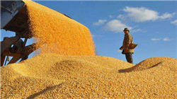 美国债市：短债引领国债走低 新一轮标售即将开始