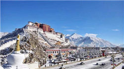 沙河股份重大资产重组！拟跨界收购“小巨人”