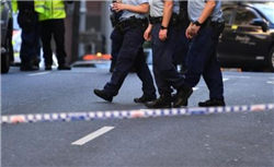 波士顿联储行长Collins：经济稳固使美联储有时间评估下一步行动