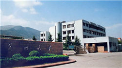 澳大利亚股市小幅走高 矿业股和银行股领涨