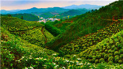 韩国公司展示全球首部小型核电站｜直击CES