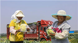 尾盘：美股尾盘走高 道指上涨580点