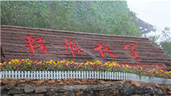 午盘：纳指标普再创新高 今日美股将提前收盘