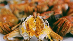 道明证券：预计澳大利亚央行2月将加息25个基点