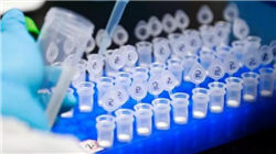 惠而浦第四季度业绩因关税及房地产行业挑战未达预期